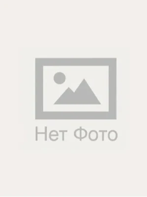 Старостенкова Ольга Александровна